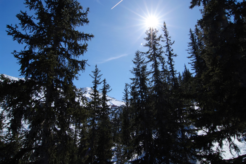 DSCF4285.jpg