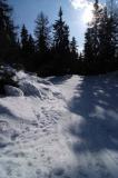 DSCF4350.jpg