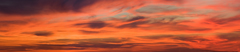 pano.jpg