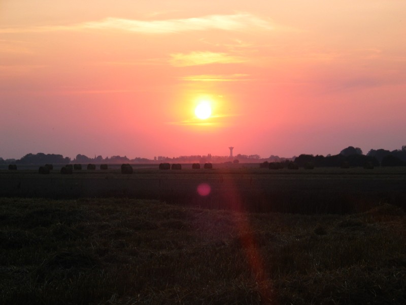img_1687.jpg