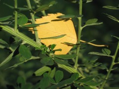 130_3036.jpg