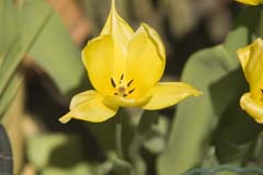 _DSC0031b.jpg