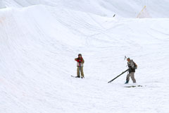 Img0008.jpg