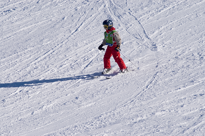 _DSC0104.jpg