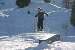IMG_3977.jpg