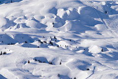 _DSC0073.jpg