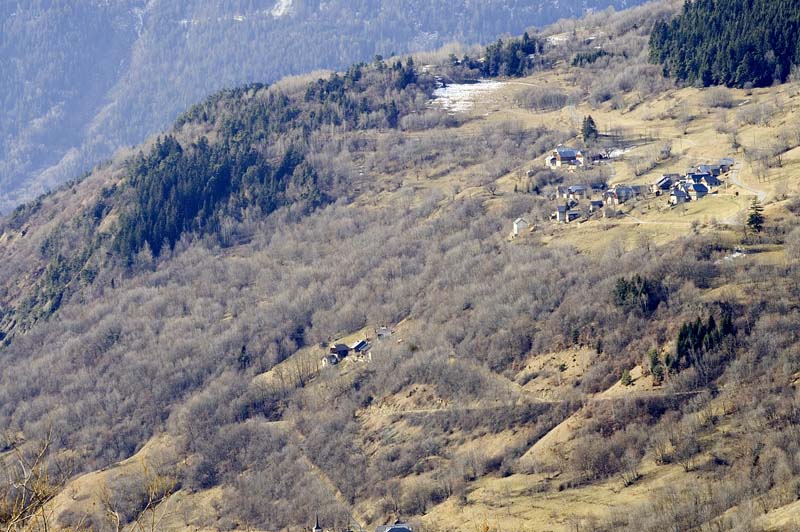 _DSC0031.jpg