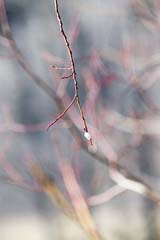 _DSC0051.jpg