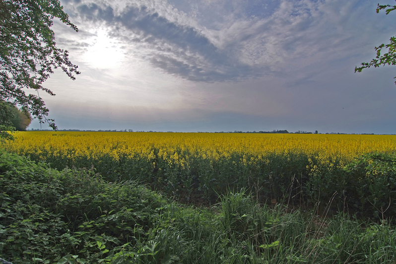 DSCF0372.jpg