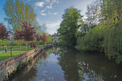 DSCF0173.jpg