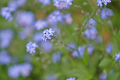 DSCF0356.jpg