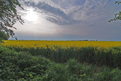 DSCF0372.jpg
