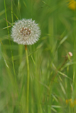 DSCF0704.jpg